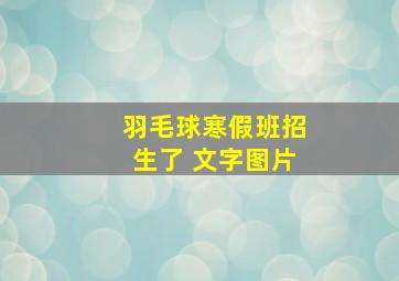 羽毛球寒假班招生了 文字图片